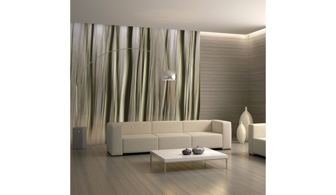Fototapeet - Forest - 350x270