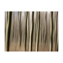 Fototapeet - Forest - 350x270