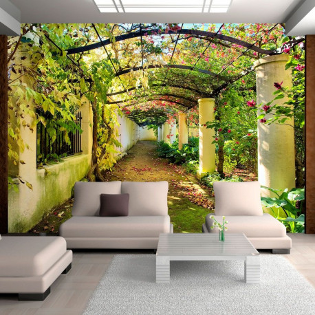 Fototapeet - Pergola - 200x140