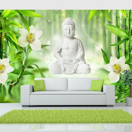 Fototapeet - Buddha and nature - 400x280