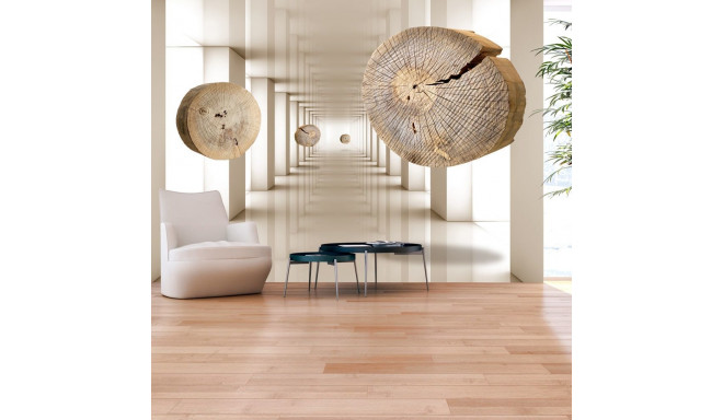 Fototapeet - Flying Discs of Wood - 100x70