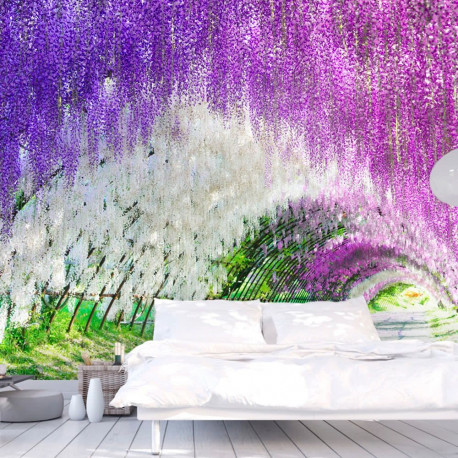 Fototapeet - Enchanted garden - 100x70