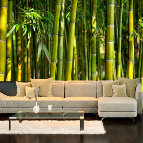 Fototapeet - Oriental Garden - 250x175