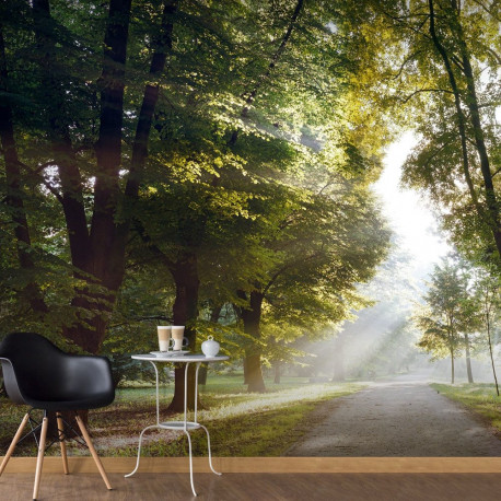 Fototapeet - Morning Walk - 200x140