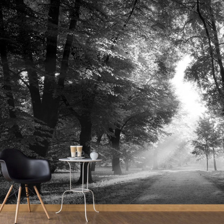 Fototapeet - Path of Memories - 150x105
