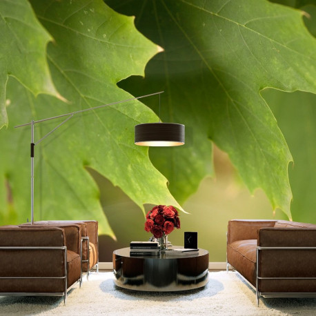 Fototapeet - Leaves - 400x309