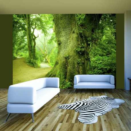 Fototapeet - Forest pathway - 400x309