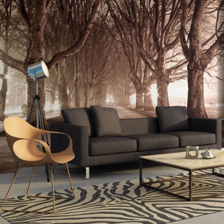Fototapeet - Park alley - 300x231