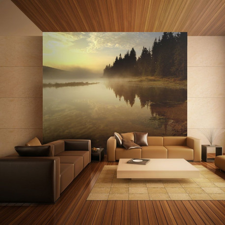 Fototapeet - Forest and lake - 250x193