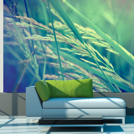 Fototapeet - Cereal field - 400x309