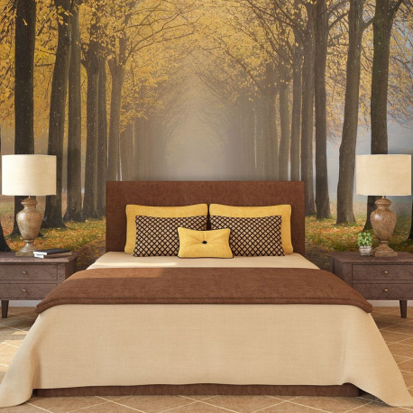 Fototapeet - Journey to the unknown - 300x231