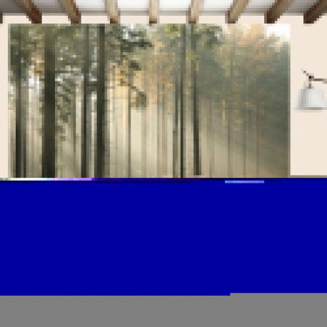 Fototapeet - Foggy November morning - 250x193