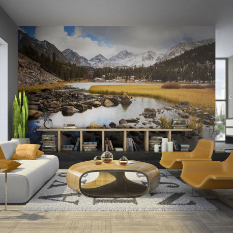 Fototapeet - Mountain stream - 200x154