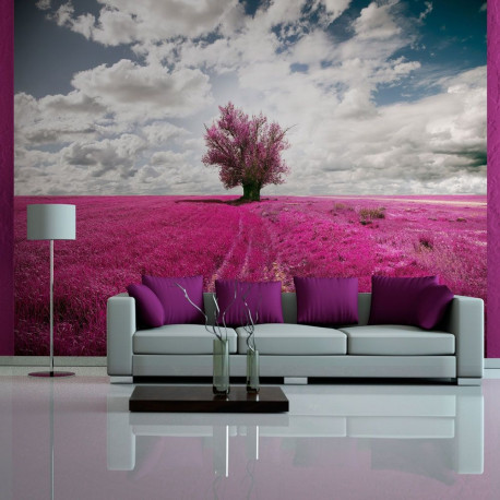 Fototapeet - Magenta meadow - 250x193
