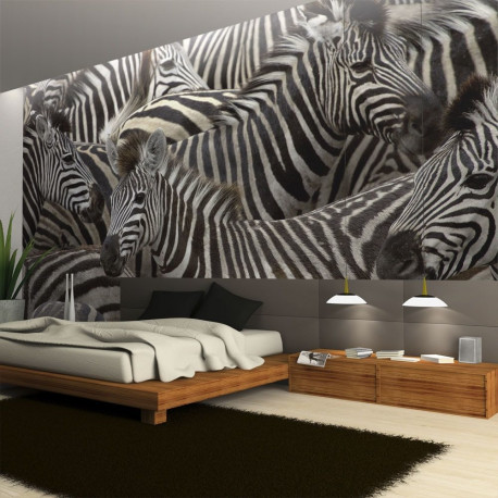 Fototapeet - Herd of zebras - 350x270