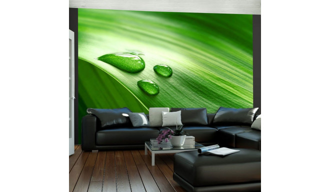 Fototapeet - Leaf and three drops of water - 200x154