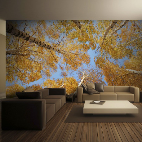 Fototapeet - Autumnal treetops - 350x270