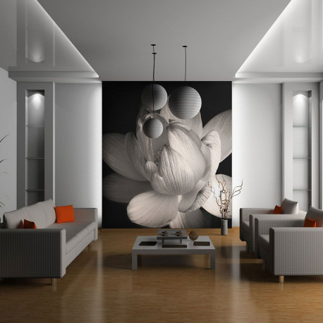 Fototapeet - Lotus flower - 350x270