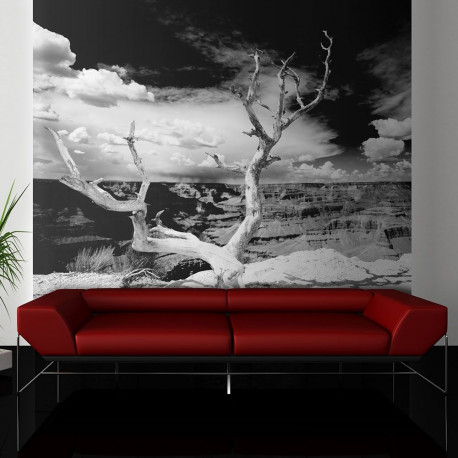 Fototapeet - Grand Canyon tree - 250x193