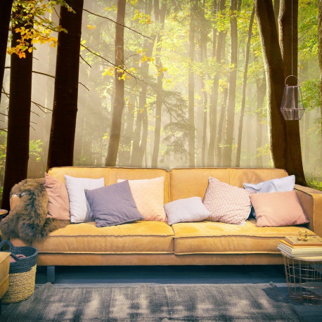 Fototapeet - Mysterious forest path - 350x270