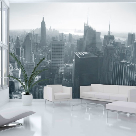 Fototapeet - New York City skyline black and white - 400x309