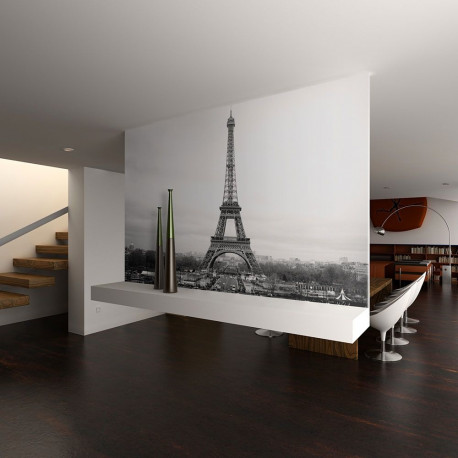Fototapeet - Paris: black and white photography - 200x154