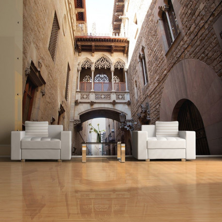 Fototapeet - Barcelona Palau generalitat in gothic Barrio - 300x231