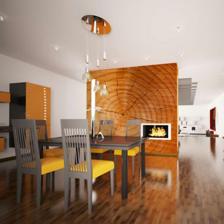 Fototapeet - Annual rings on a tree trunk - 400x309