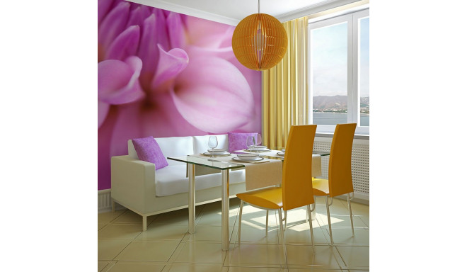 Fototapeet - Flower petals - dahlia - 400x309
