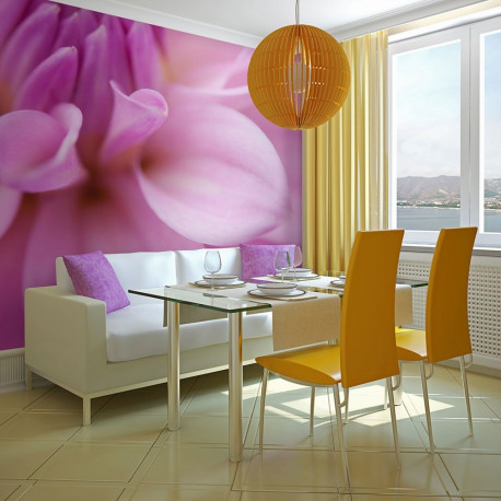 Fototapeet - Flower petals - dahlia - 350x270