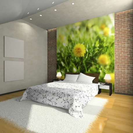 Fototapeet - Dandelion flowers - 250x193