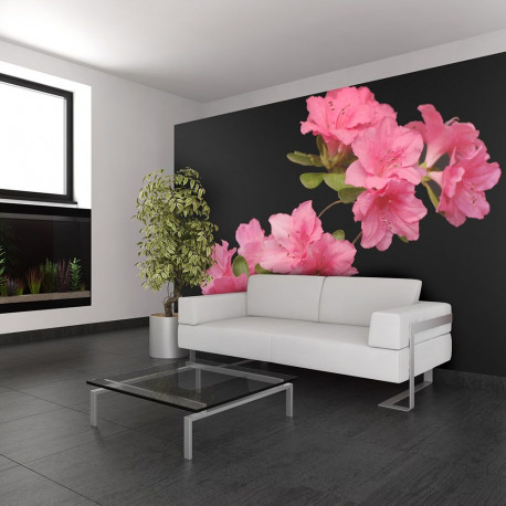 Fototapeet - Azalea in Black - 200x154