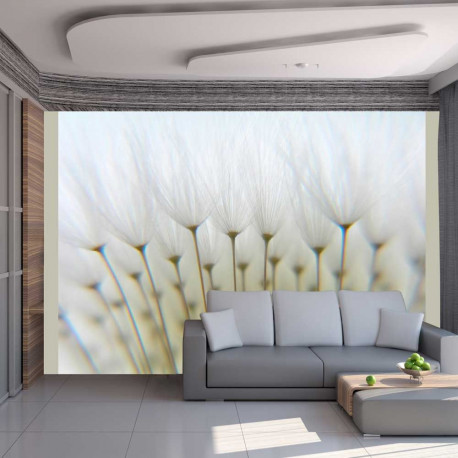 Fototapeet - Dandelion forest - 250x193