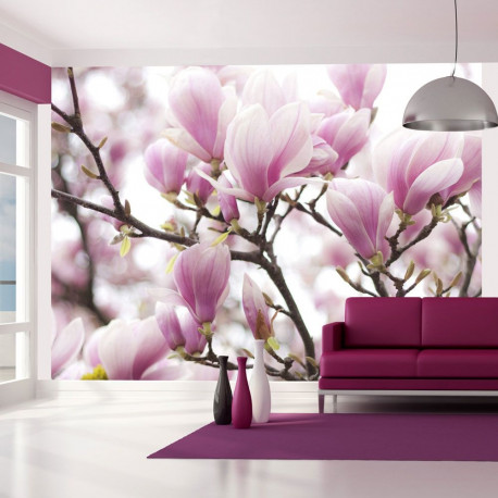 Fototapeet - Magnolia bloosom - 200x154