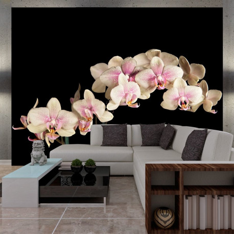Fototapeet - Blooming orchid - 200x154
