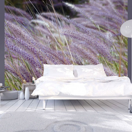 Fototapeet - Green field and purple flowers - 400x309