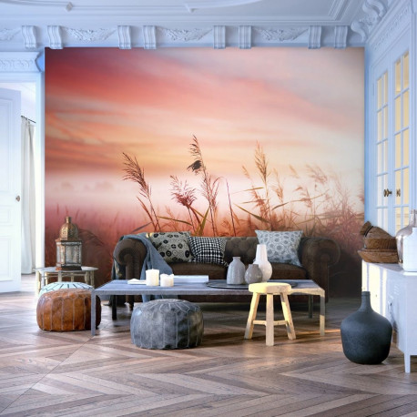Fototapeet - Morning meadow - 350x270