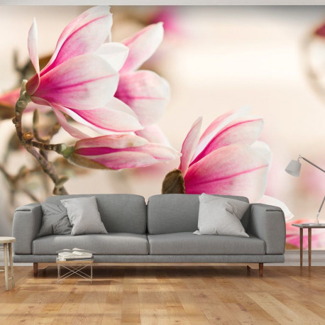 Fototapeet - Branch of magnolia tree - 350x270
