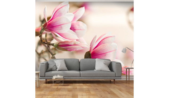 Fototapeet - Branch of magnolia tree - 200x154