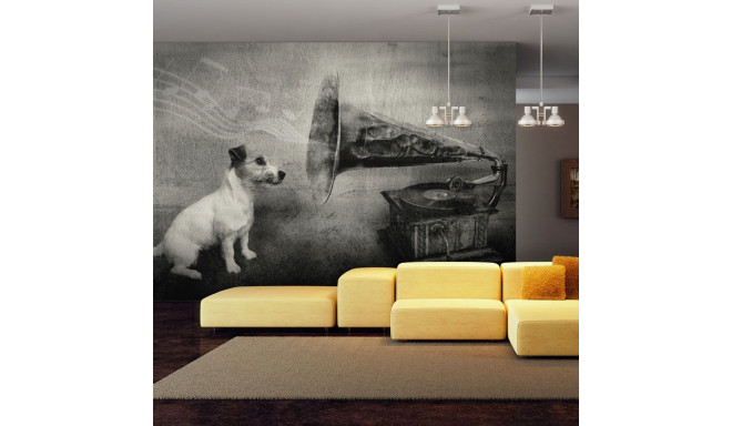 Fototapeet - Dog's melodies - 250x193