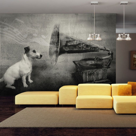 Fototapeet - Dog's melodies - 200x154