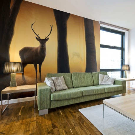 Fototapeet - Deer in his natural habitat - 300x231