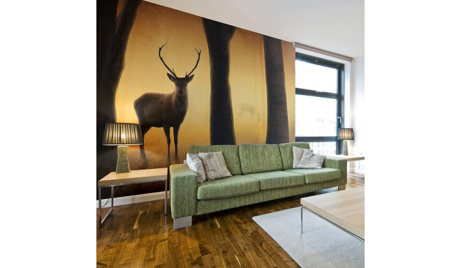 Fototapeet - Deer in his natural habitat - 250x193