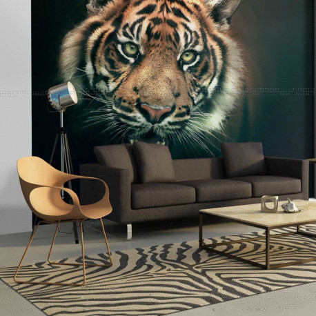 Fototapeet - Bengal Tiger - 400x309