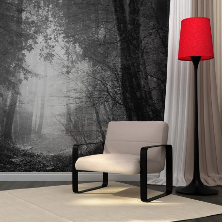 Fototapeet - Forest of shadows - 400x309