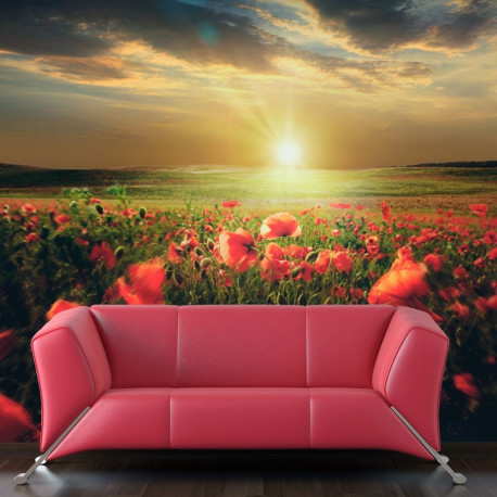 Fototapeet - Morning on the poppy meadow - 400x309