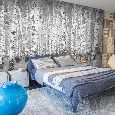 Fototapeet - Birch seclusion - 350x270