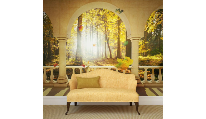 Fototapeet - Dream about autumnal forest - 250x193