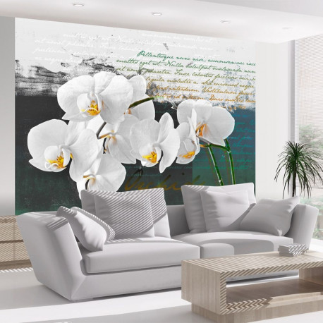 Fototapeet - Orchid - poet's inspiration - 200x154