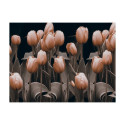 Fototapeet - Ladies among the flowers - 250x193